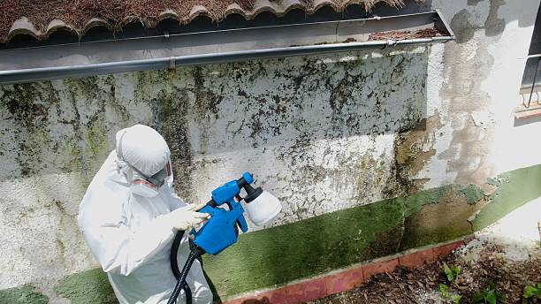 Top rated local Commercial Mold Remediation specialists in Jessup, PA